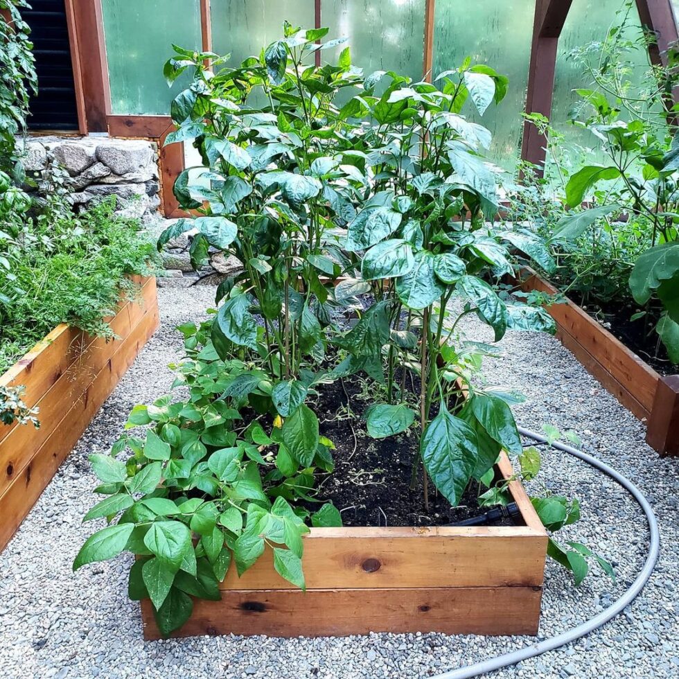 Picture of How to Lower Soil pH: Revitalize Your Garden Today