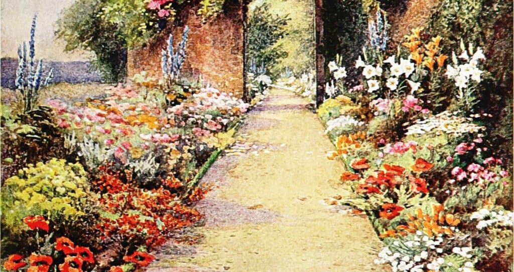 A vibrant garden path meanders through lush beds of colorful blooms, showcasing the rich, fertile garden soil.