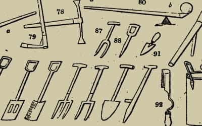 Types of Soil Uncovered: Essential Insights for Thriving Gardens