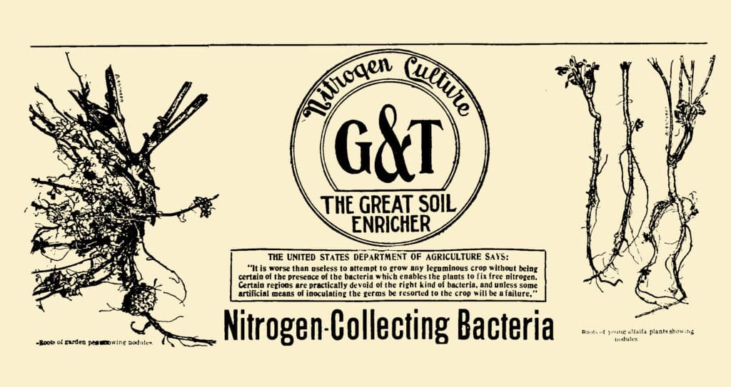 This vintage advertisement of root nodules highlights the historical understanding of nitrogen's crucial role in soil health and suggests how to add nitrogen to soil through leguminous plant cultivation.